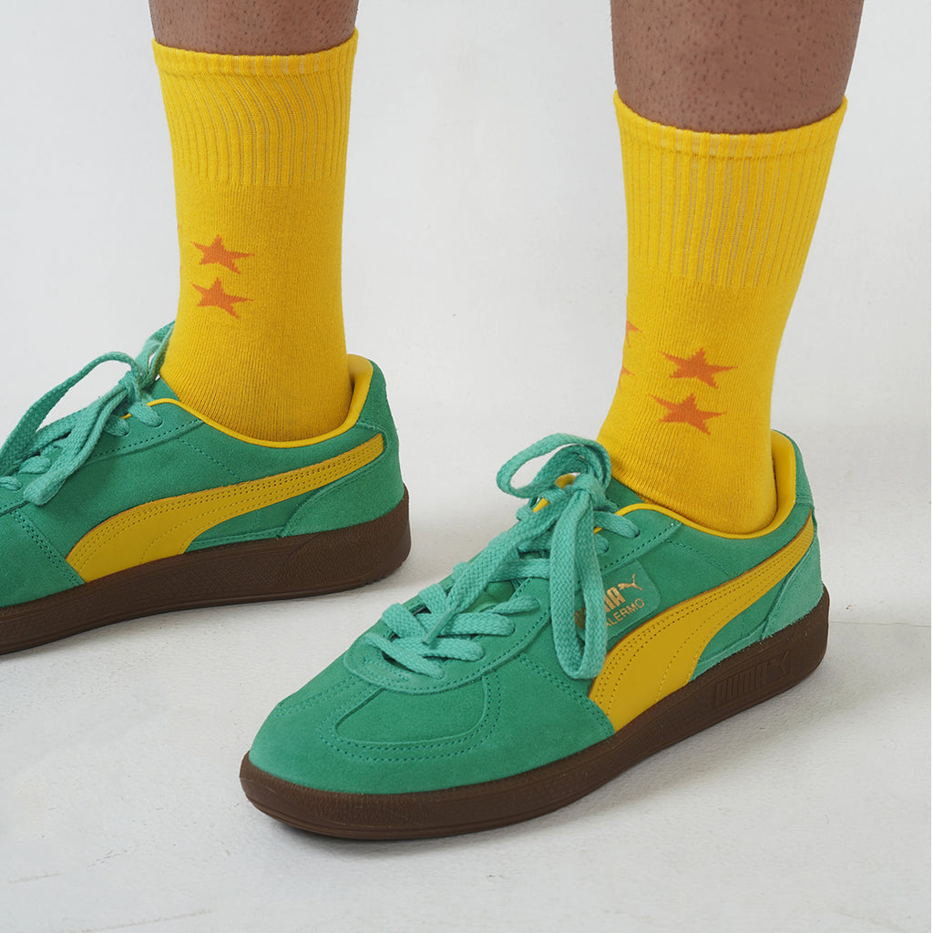 DBZ socks