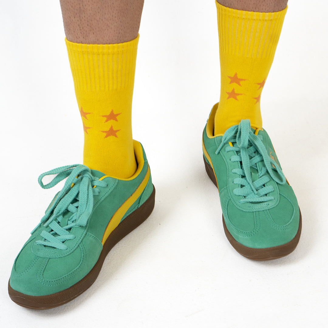 DBZ socks