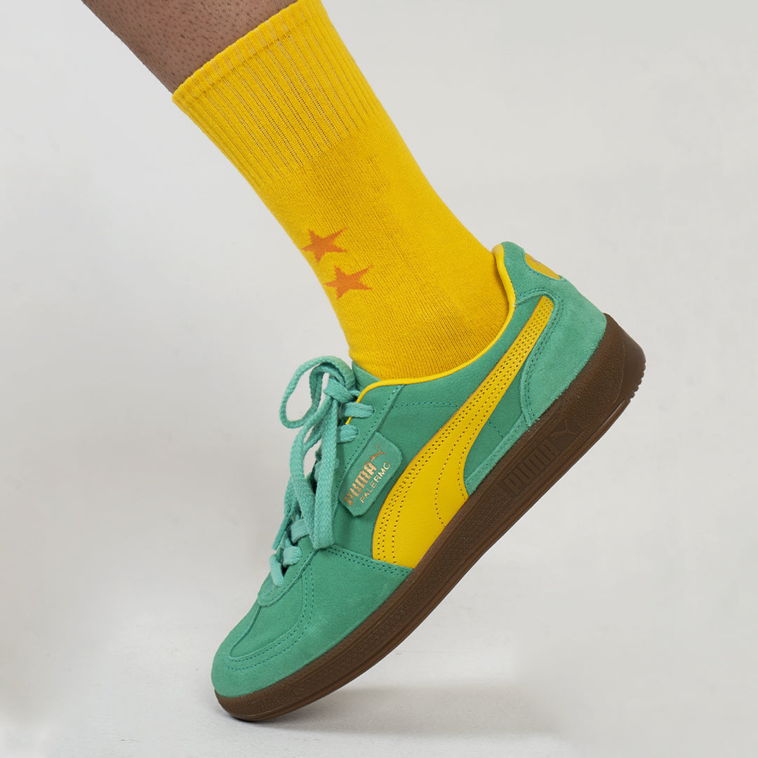 DBZ socks