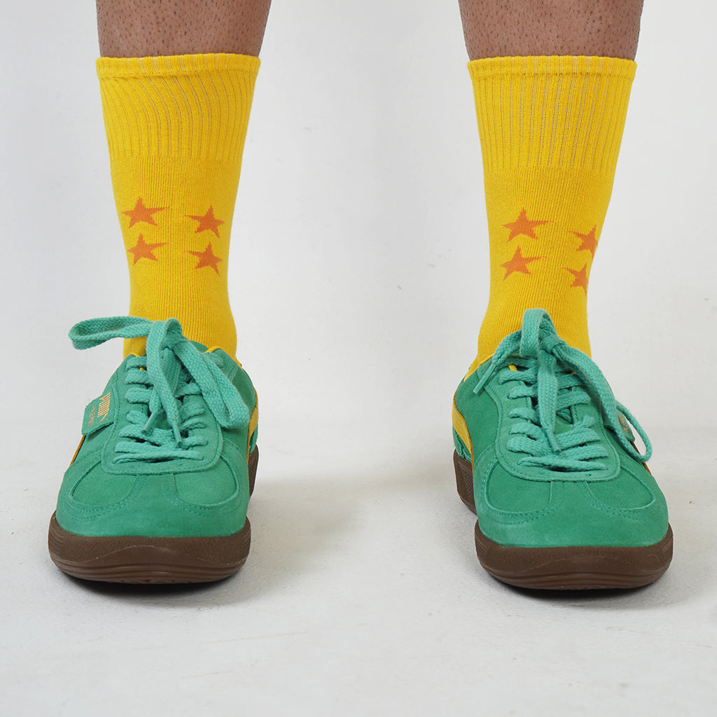 DBZ socks